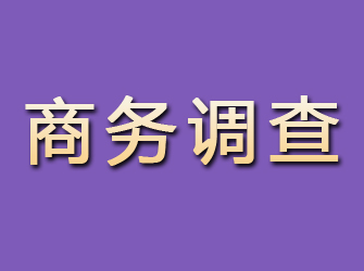 河口区商务调查